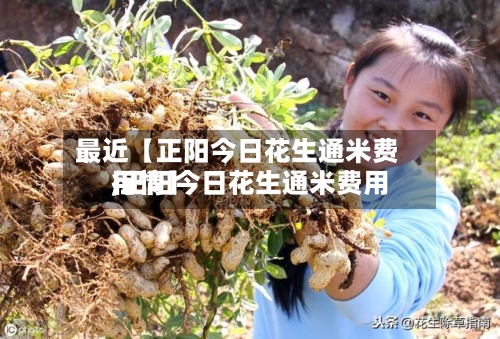 最近【正阳今日花生通米费用,正阳今日花生通米费用行情】