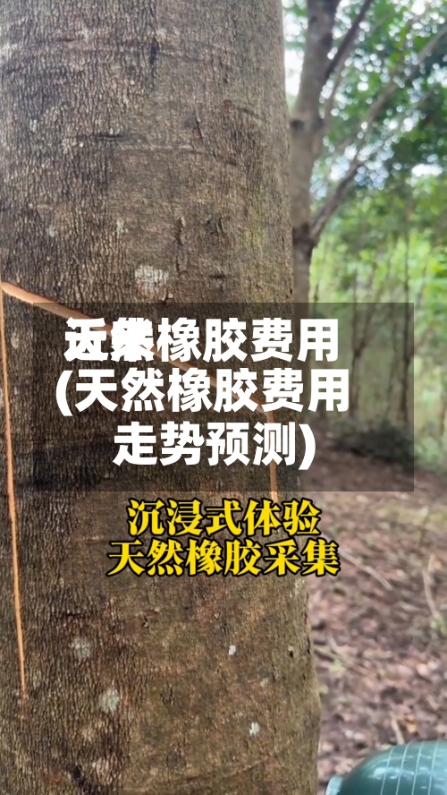 近来天然橡胶费用(天然橡胶费用走势预测)-第2张图片