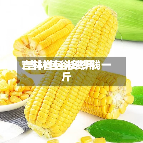 吉林省包米费用
/吉林包谷多少钱一斤-第2张图片
