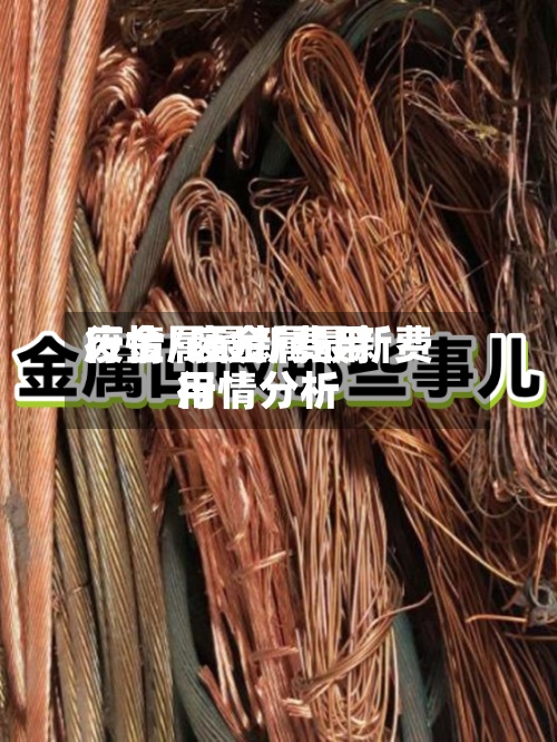 废金属最新费用行情/废金属最新费用行情分析-第2张图片