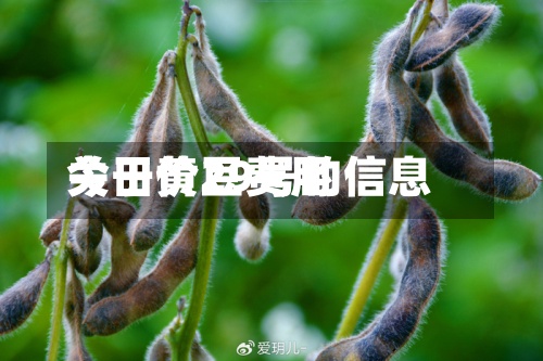 关于黄豆费用今日价29号的信息-第2张图片