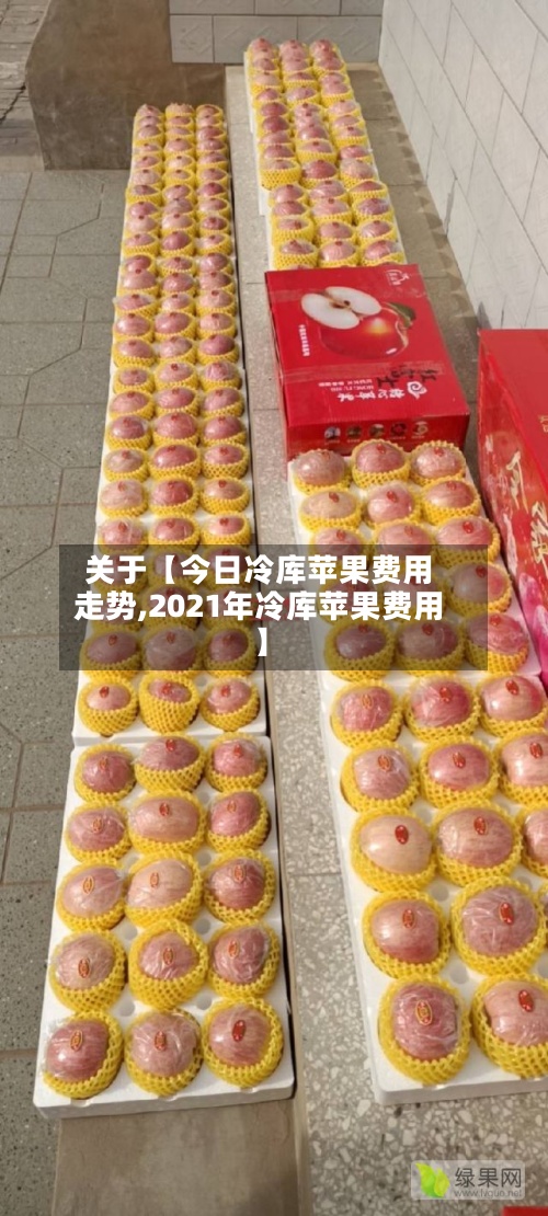 关于【今日冷库苹果费用走势,2021年冷库苹果费用】