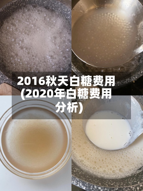 2016秋天白糖费用(2020年白糖费用分析)