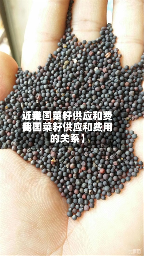 近来【我国菜籽供应和费用我国菜籽供应和费用的关系】