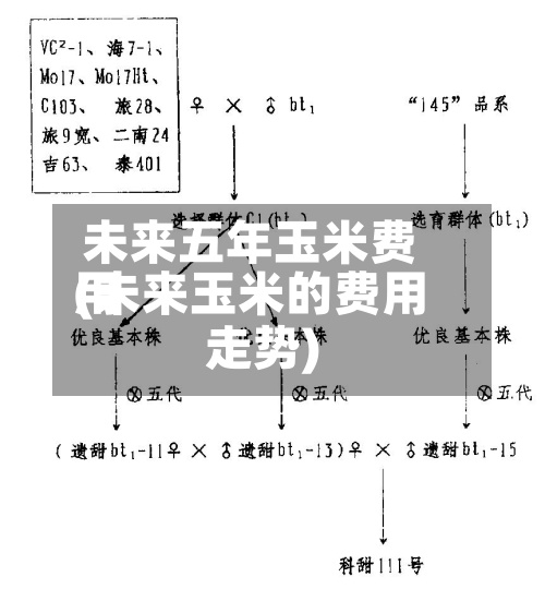 未来五年玉米费用(未来玉米的费用走势)