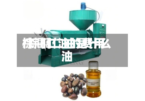 棕闾仁油的费用/棕榈仁油是什么油