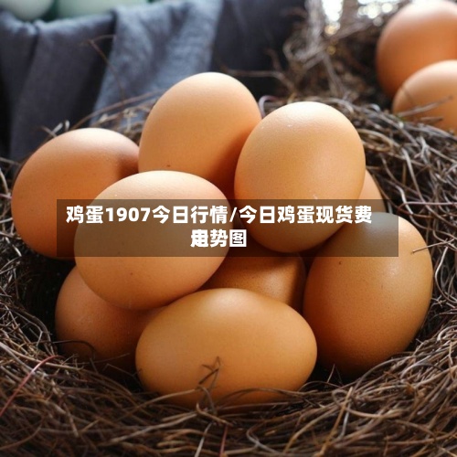 鸡蛋1907今日行情/今日鸡蛋现货费用走势图