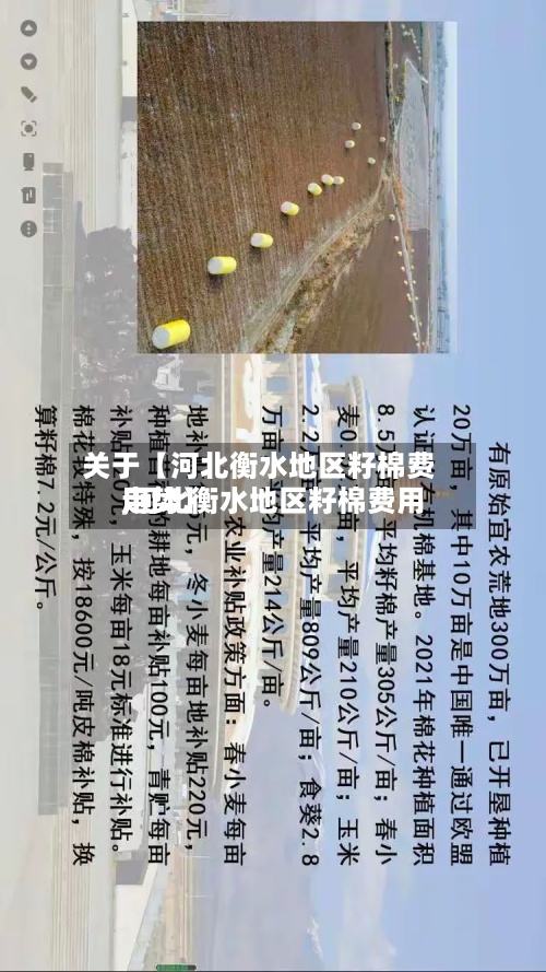关于【河北衡水地区籽棉费用,河北衡水地区籽棉费用走势】-第3张图片