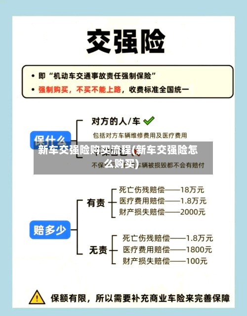 新车交强险购买流程(新车交强险怎么购买)-第1张图片