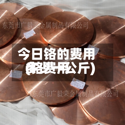 今日铬的费用(铬费用多少一公斤)-第2张图片