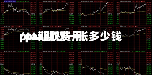 pta期权费用/pta期权一张多少钱