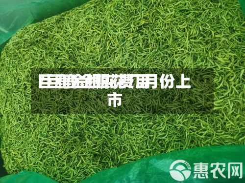 巨鹿金银花费用/巨鹿金银花几月份上市