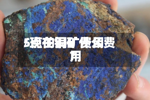 5点的铜矿费用/现在铜矿什么费用?-第2张图片