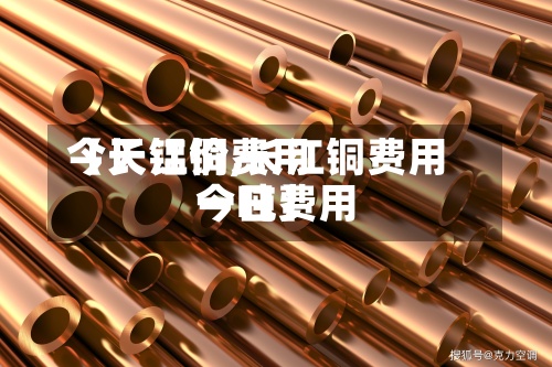 【长江铜费用今天铝价,长江铜费用今日费用一吨】