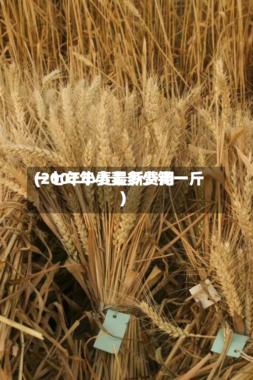 一七年小麦最新费用(2007年小麦多少钱一斤)