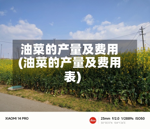 油菜的产量及费用(油菜的产量及费用表)