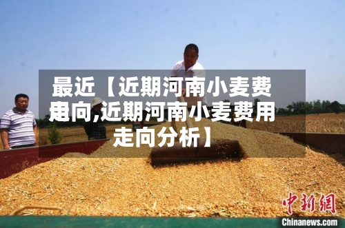最近【近期河南小麦费用走向,近期河南小麦费用走向分析】-第2张图片