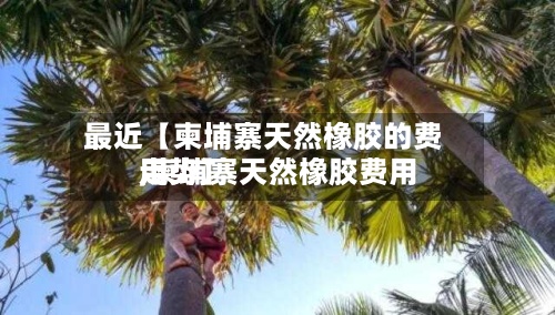 最近【柬埔寨天然橡胶的费用,柬埔寨天然橡胶费用走势】