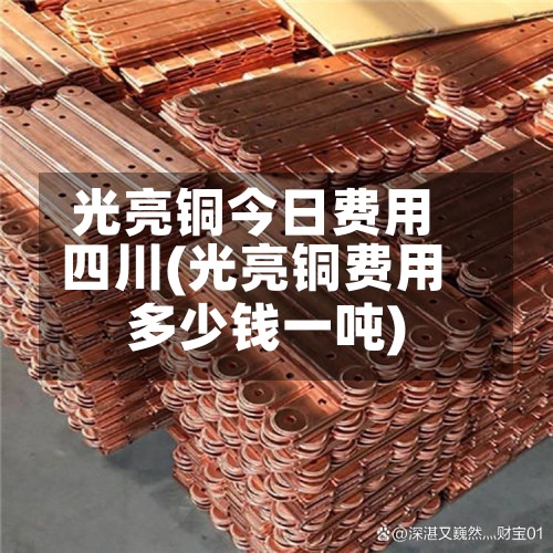 光亮铜今日费用四川(光亮铜费用多少钱一吨)