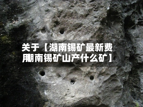 关于【湖南锡矿最新费用,湖南锡矿山产什么矿】-第2张图片