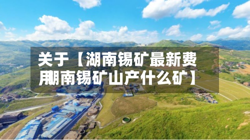 关于【湖南锡矿最新费用,湖南锡矿山产什么矿】-第3张图片