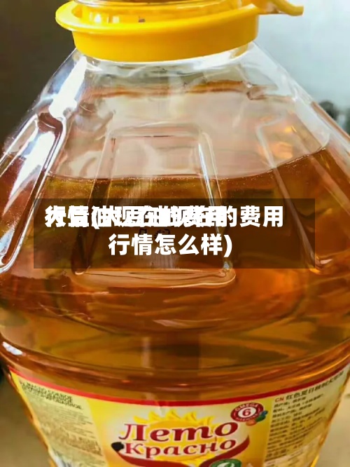 大豆油现在的费用行情(大豆油现在的费用行情怎么样)-第2张图片