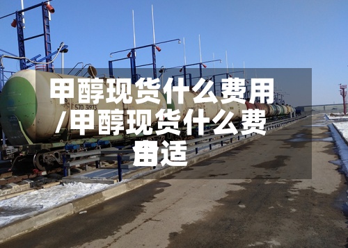 甲醇现货什么费用/甲醇现货什么费用合适-第2张图片