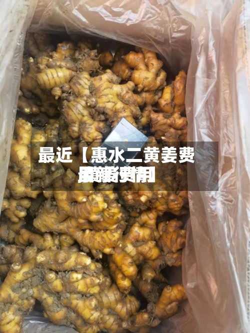 最近【惠水二黄姜费用,黄姜费用最新行情】