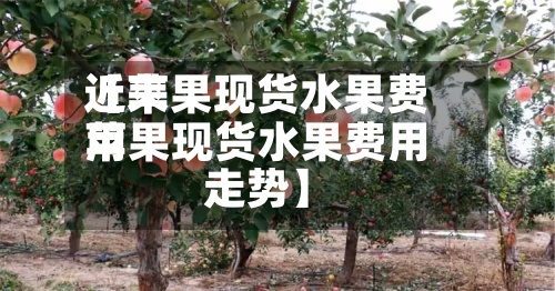 近来【苹果现货水果费用苹果现货水果费用走势】-第3张图片