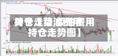 关于【菜油费用持仓走势,菜油费用持仓走势图】-第2张图片