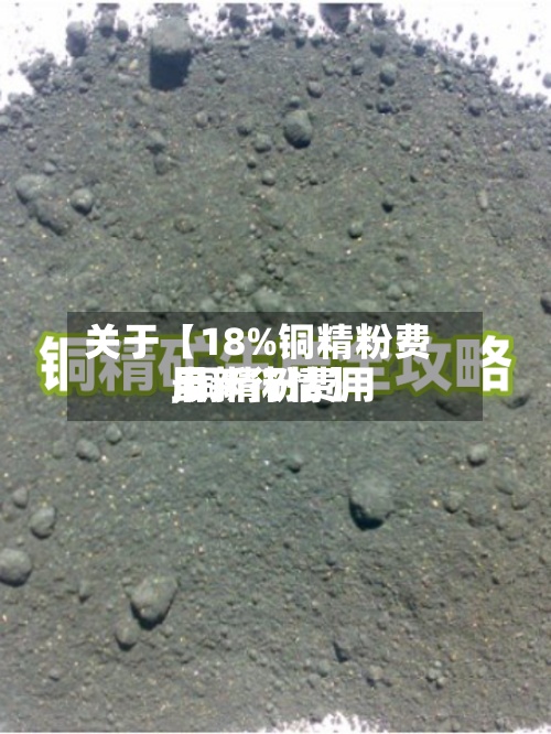 关于【18%铜精粉费用,铜精粉费用最新行情】
