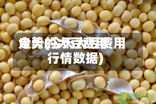 今天的大豆费用走势(今天大豆费用行情数据)