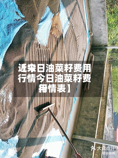 近来【今日油菜籽费用行情今日油菜籽费用行情表】