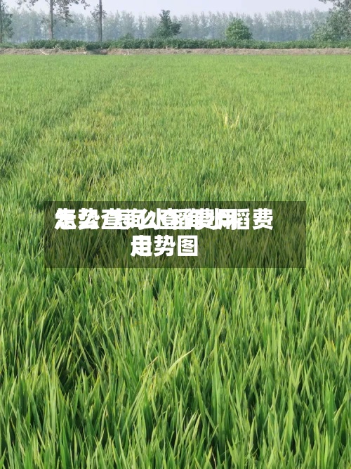 怎么查询水稻费用走势/怎么查询水稻费用走势图-第2张图片