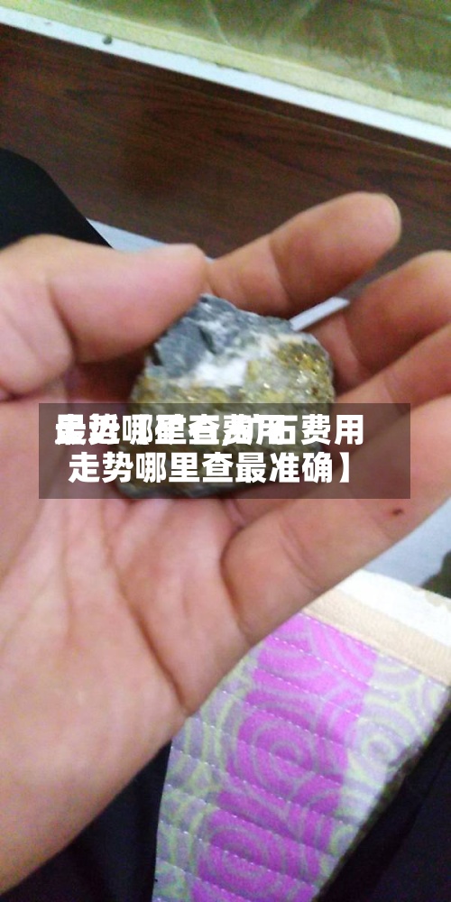 最近【矿石费用走势哪里查,矿石费用走势哪里查最准确】-第2张图片