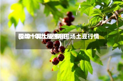 围场十月土豆费用
(2021年九月份后围场土豆行情)-第2张图片
