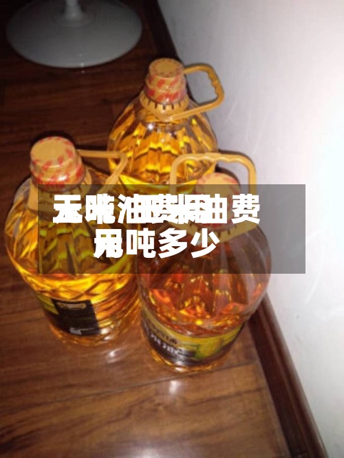 玉米油费用元吨/玉米油费用元吨多少-第2张图片