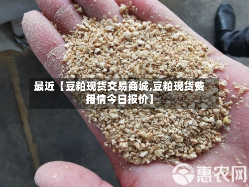 最近【豆粕现货交易商城,豆粕现货费用
行情今日报价】-第2张图片