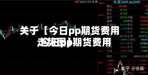 关于【今日pp期货费用,今日pp期货费用走势图】-第3张图片