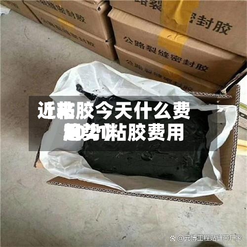 近来【粘胶今天什么费用2021粘胶费用趋势】