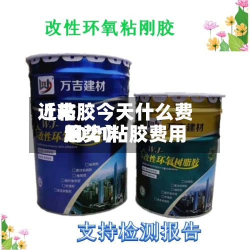 近来【粘胶今天什么费用2021粘胶费用趋势】-第2张图片