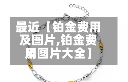 最近【铂金费用及图片,铂金费用及图片大全】-第2张图片