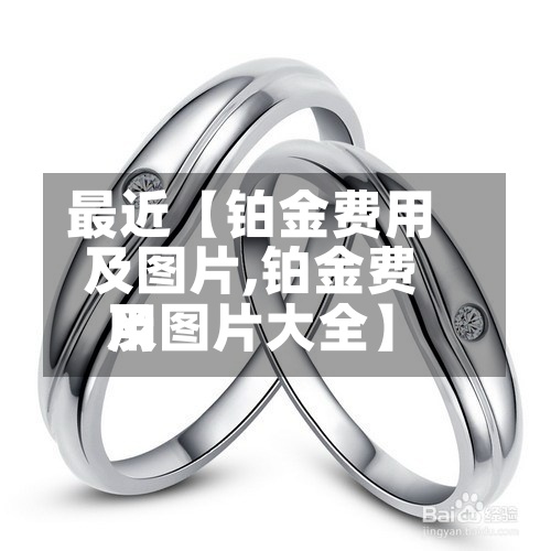 最近【铂金费用及图片,铂金费用及图片大全】-第3张图片