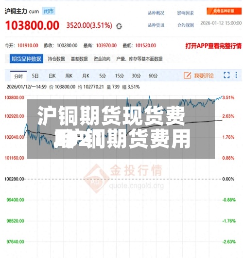 沪铜期货现货费用/沪铜期货费用2021-第2张图片