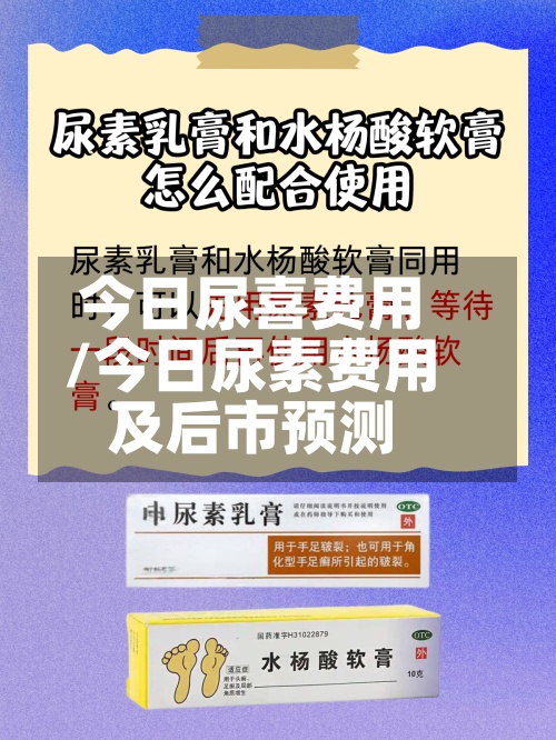 今日尿喜费用/今日尿素费用及后市预测-第2张图片