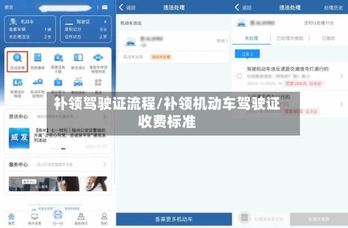 补领驾驶证流程/补领机动车驾驶证收费标准