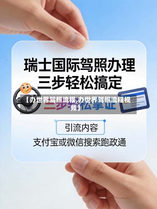 【办世界驾照流程,办世界驾照流程视频】