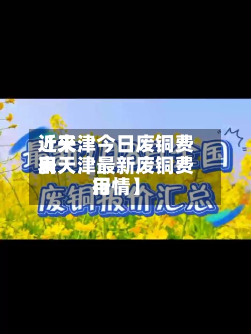 近来【天津今日废铜费用表天津最新废铜费用行情】-第3张图片