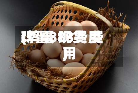 鸡蛋888费用(鸡蛋 现货 费用)