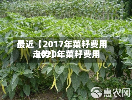 最近【2017年菜籽费用
,2020年菜籽费用
走势】-第2张图片